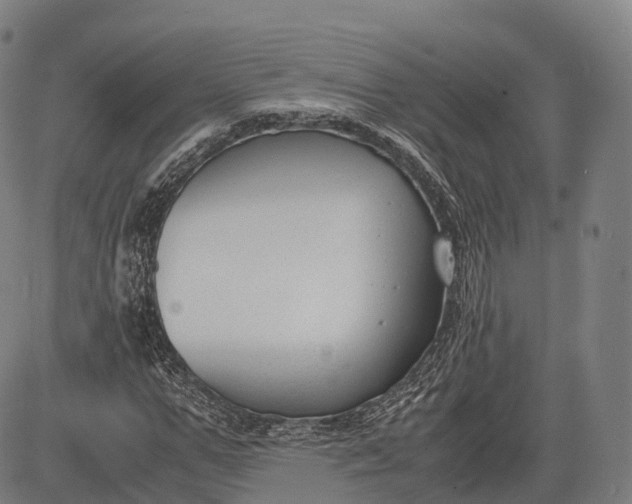 X0000083010967200702161547