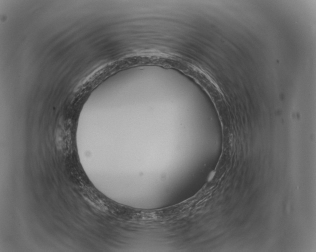 X0000083010968200702161547