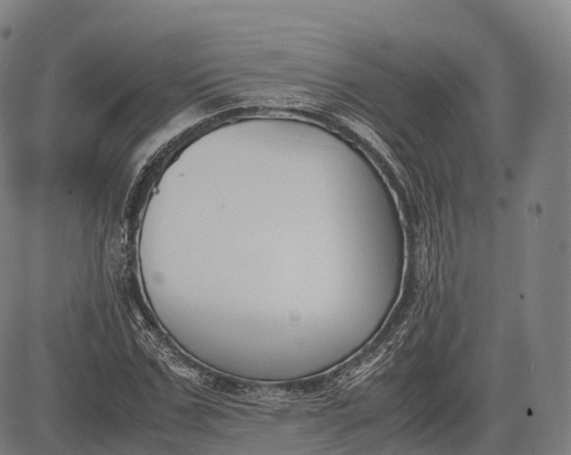 X0000083010971200702161547