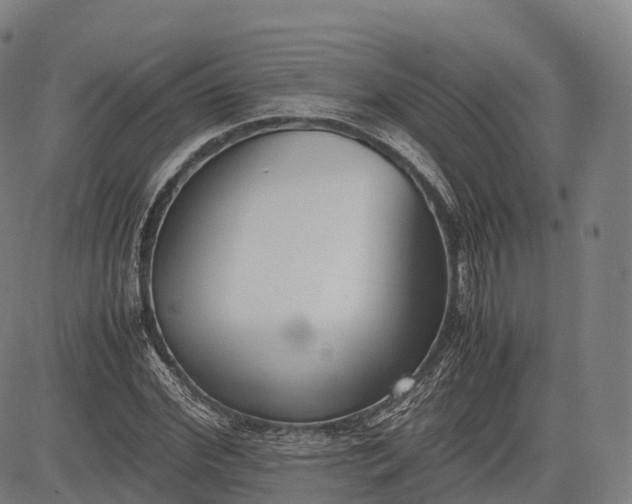 X0000083010972200702161547