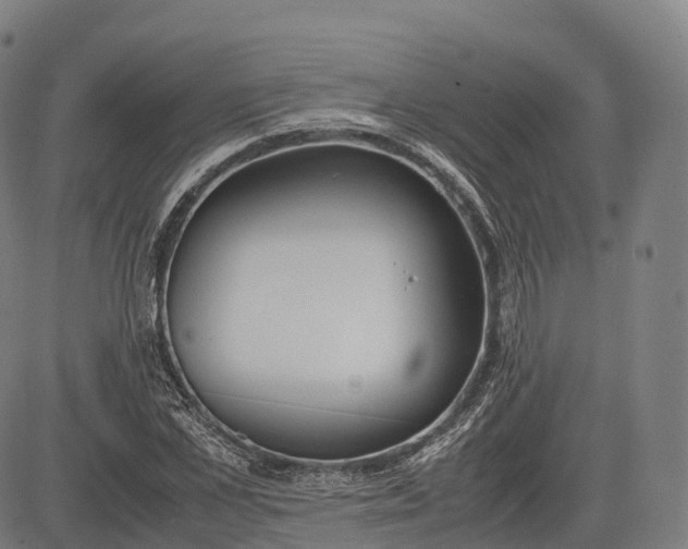 X0000083010973200702161547