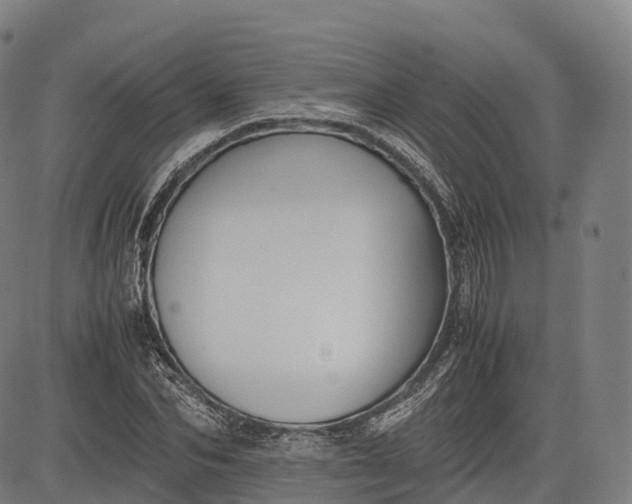 X0000083010974200702161547