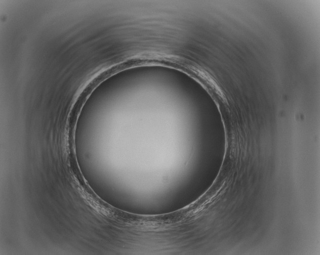 X0000083010976200702161547