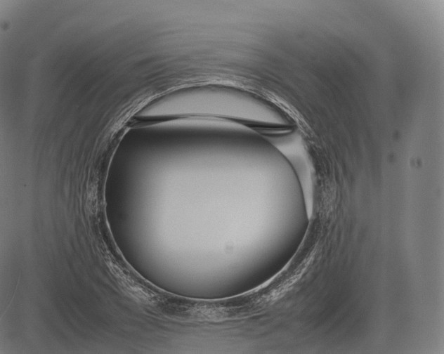 X0000083010977200702161547