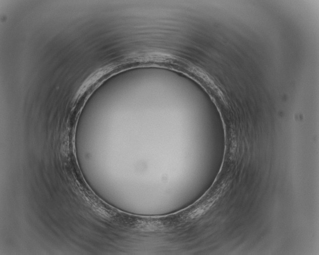 X0000083010978200702161547