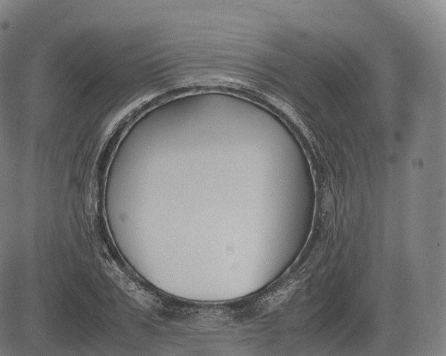 X0000083010979200702161547