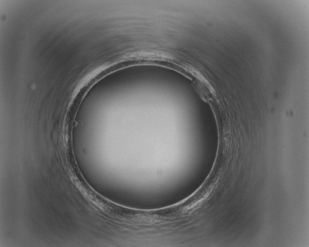 X0000083010981200702161547