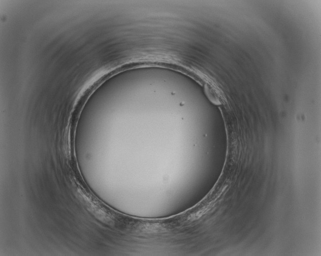 X0000083010982200702161547