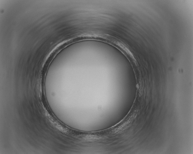 X0000083010984200702161547