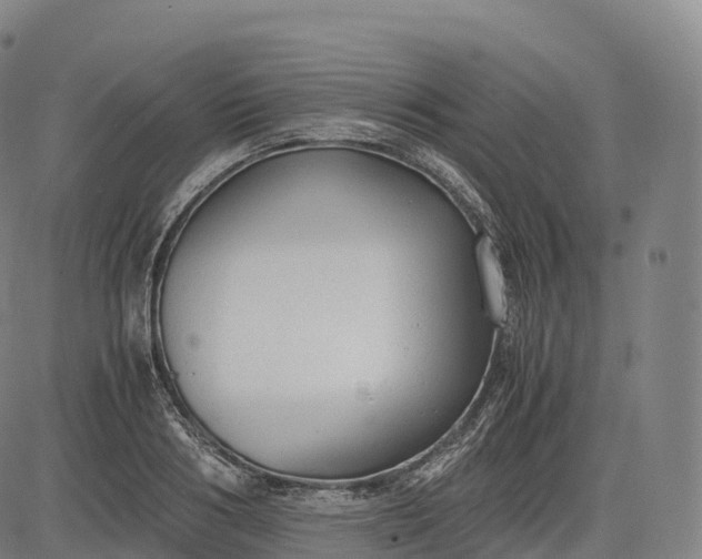 X0000083010986200702161547