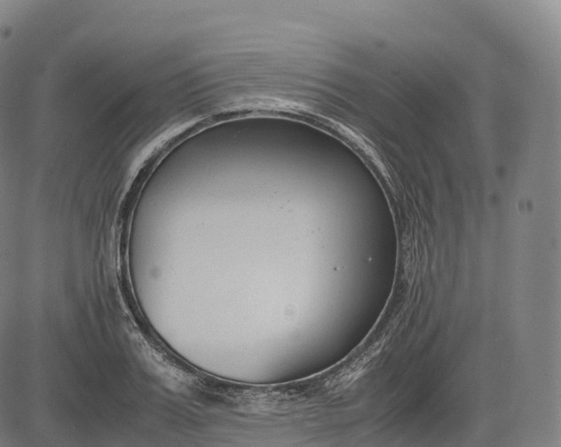 X0000083010987200702161547