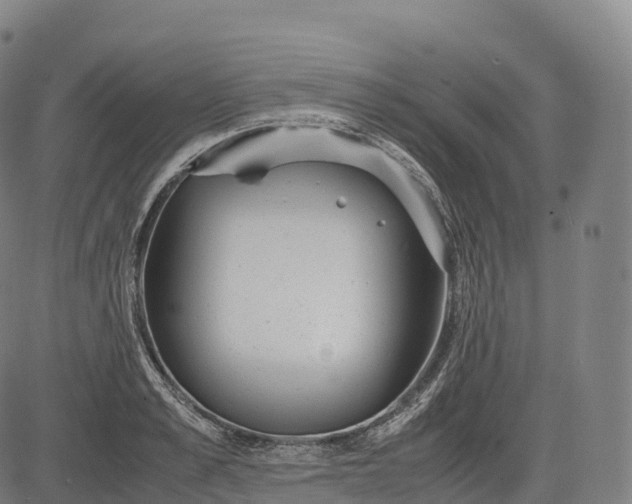 X0000083010989200702161547