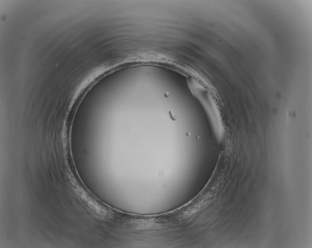 X0000083010990200702161547