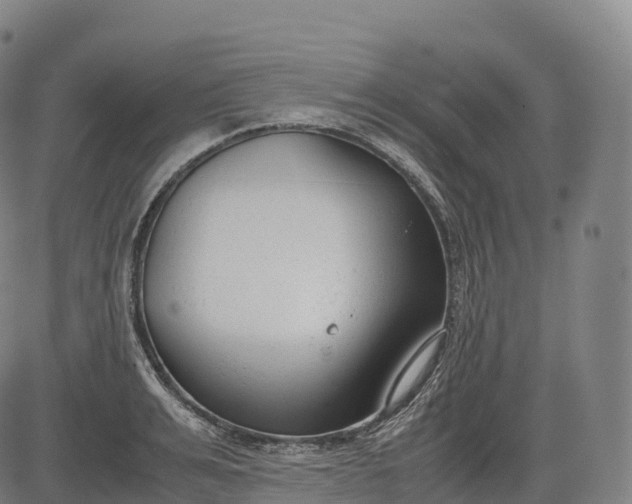 X0000083010991200702161547