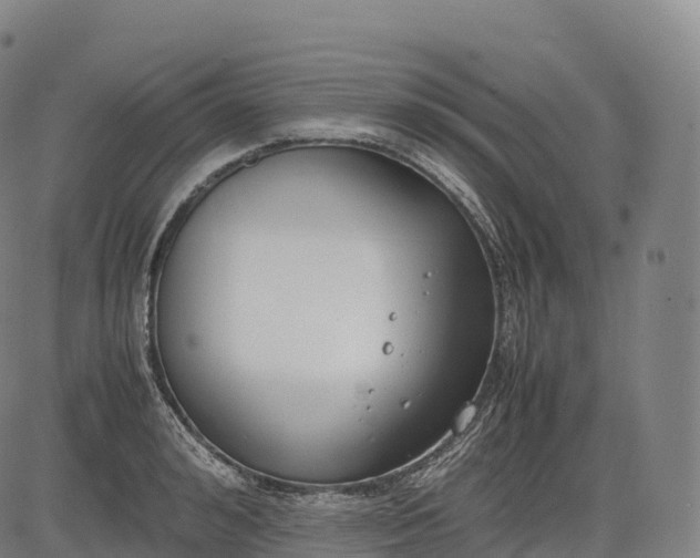 X0000083010992200702161547