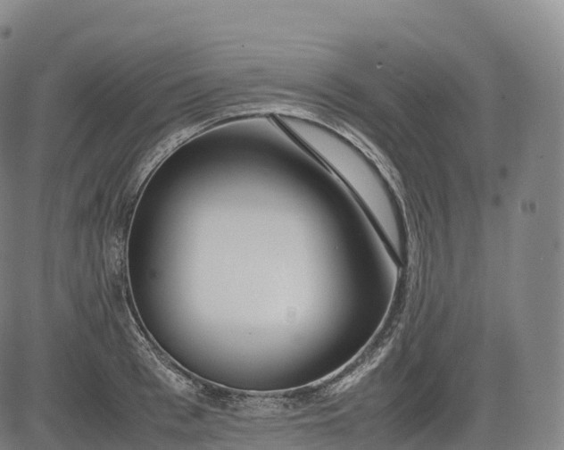 X0000083010993200702161547