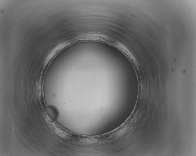 X0000083010994200702161547