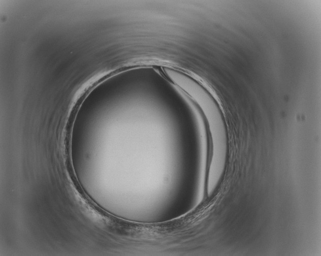 X0000083010995200702161547