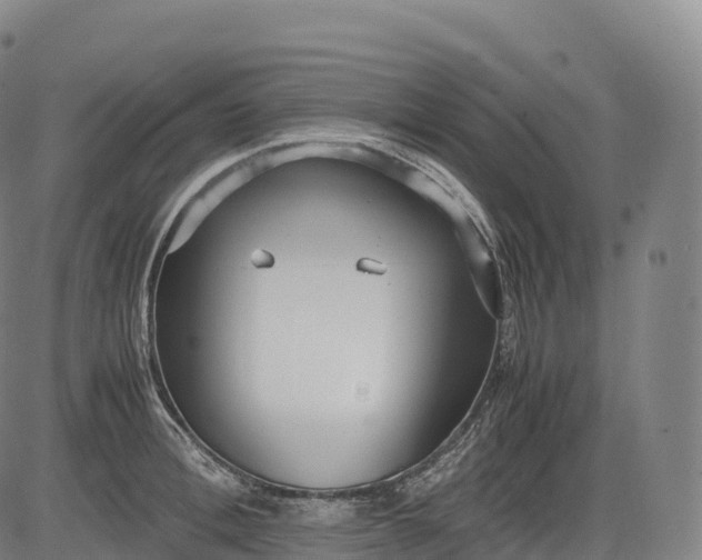 X0000083010996200702161547