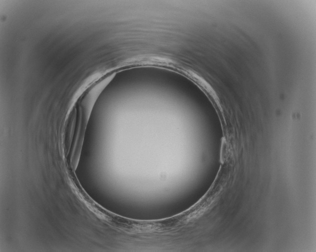 X0000083010997200702161547