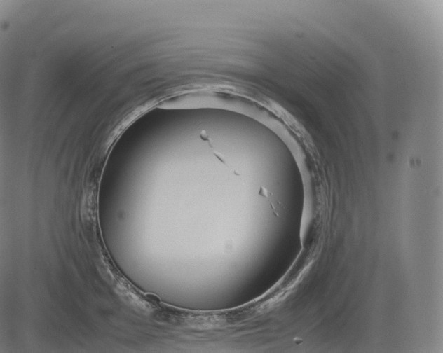 X0000083011001200702161546