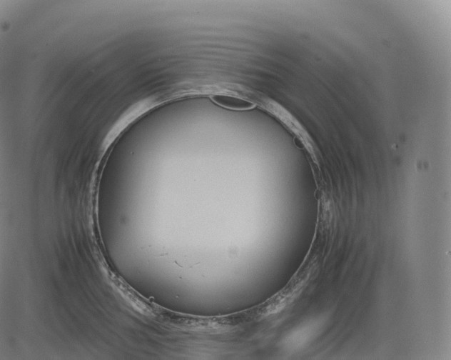 X0000083011002200702161546