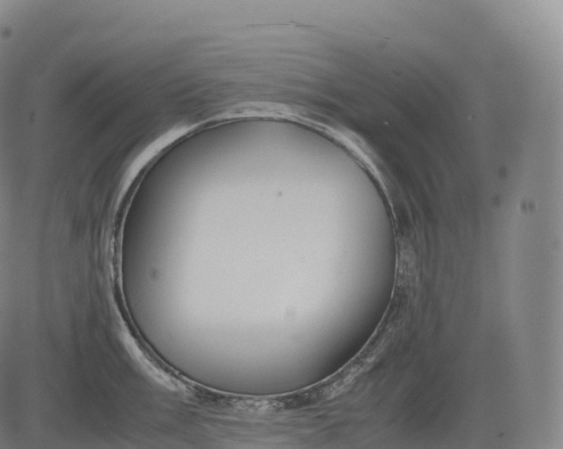 X0000083011003200702161546