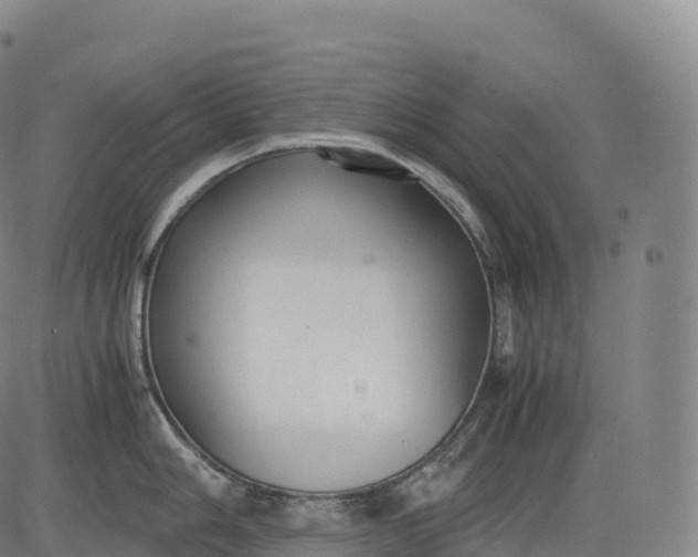 X0000083011006200702161546