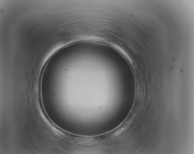 X0000083011007200702161546