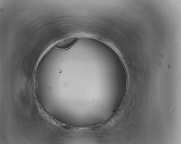 X0000083011008200702161546