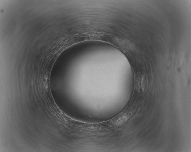 X0000083011010200702161546