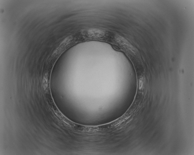 X0000083011011200702161546