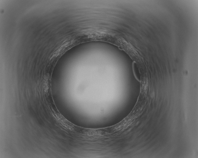 X0000083011012200702161546