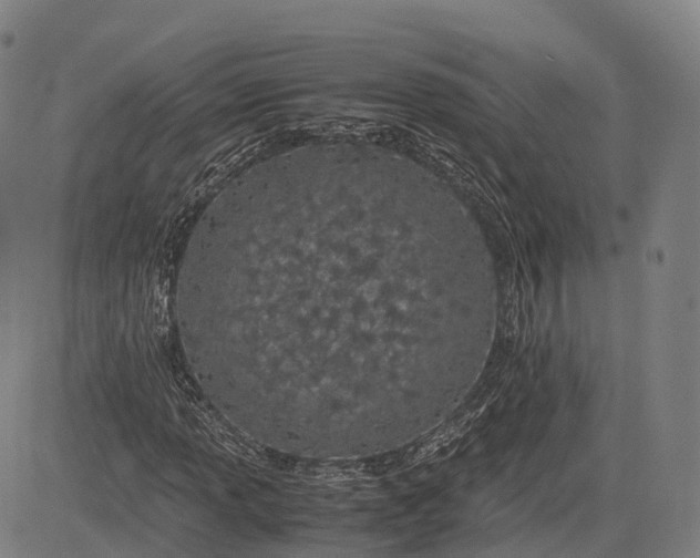 X0000083011013200702161546