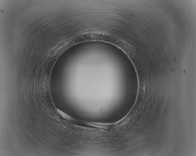 X0000083011014200702161546