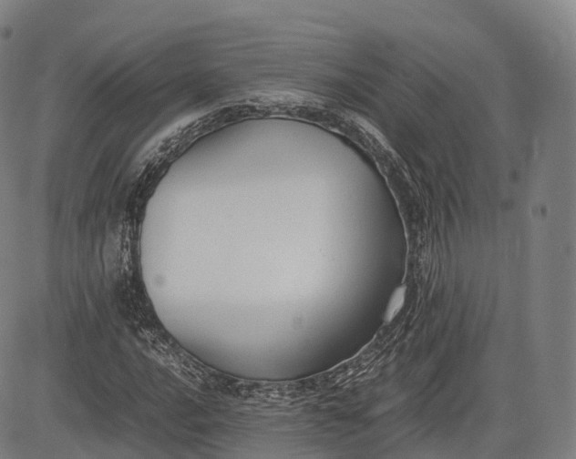 X0000083011016200702161546