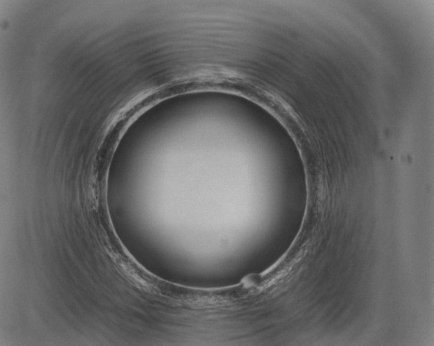 X0000083011018200702161546