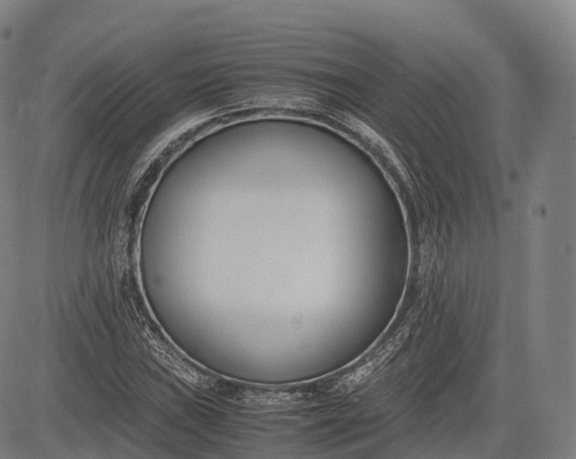 X0000083011019200702161546