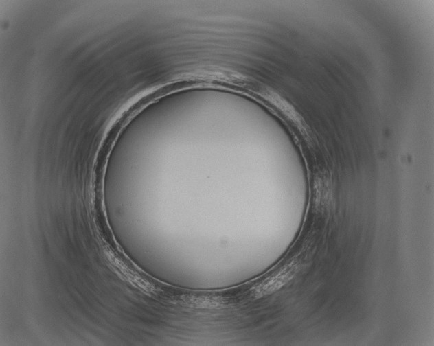 X0000083011020200702161546