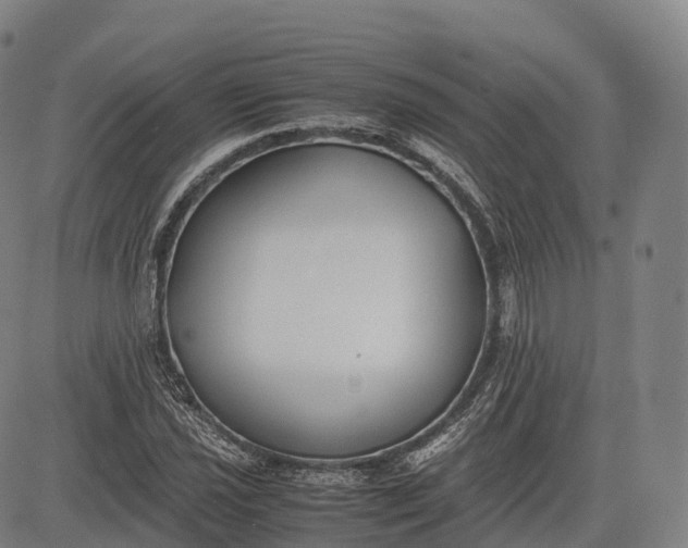 X0000083011021200702161546