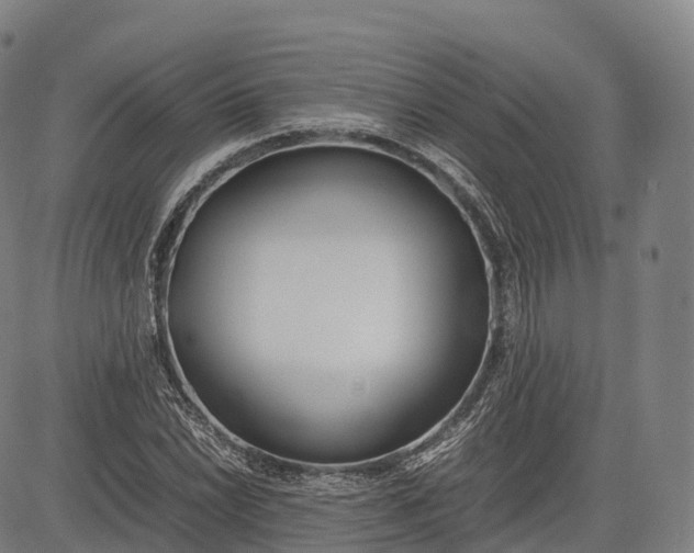 X0000083011022200702161546