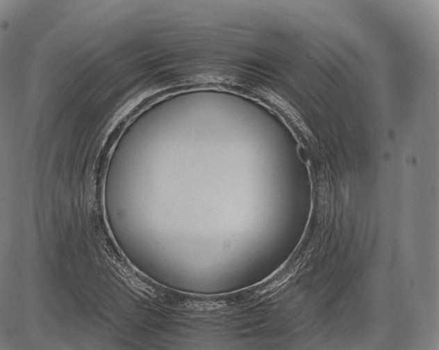 X0000083011023200702161546