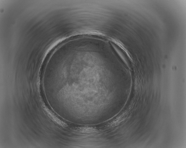 X0000083011024200702161546