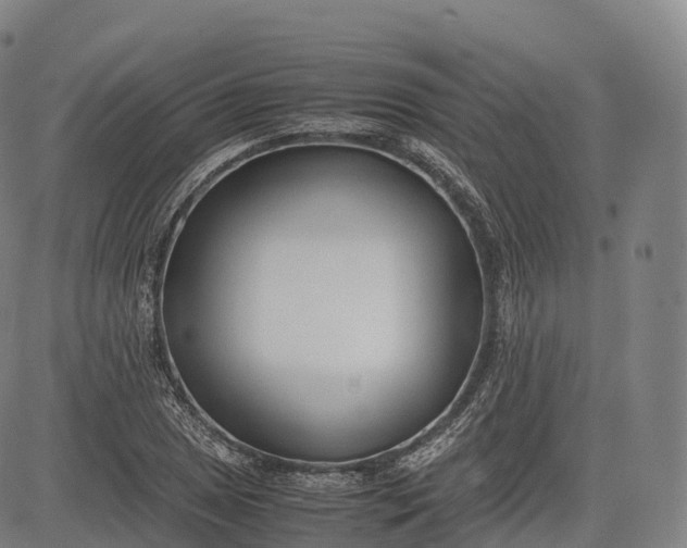 X0000083011025200702161546