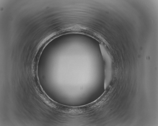 X0000083011026200702161546