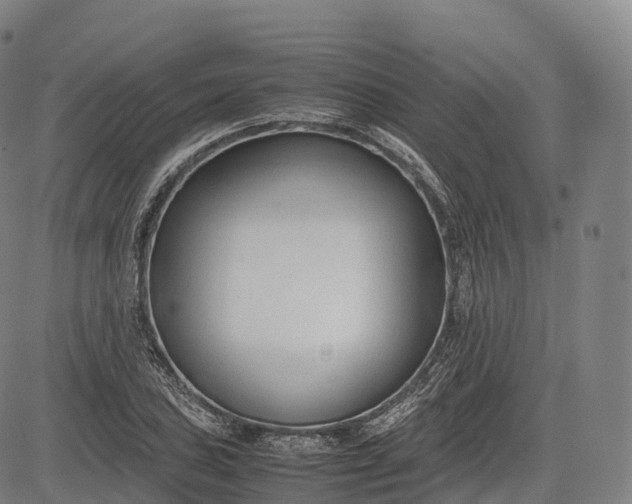 X0000083011027200702161546