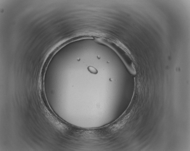 X0000083011028200702161546