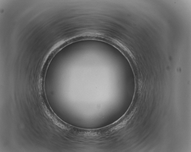 X0000083011029200702161546