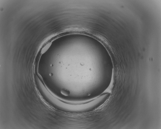 X0000083011030200702161546