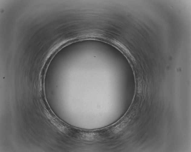 X0000083011031200702161546